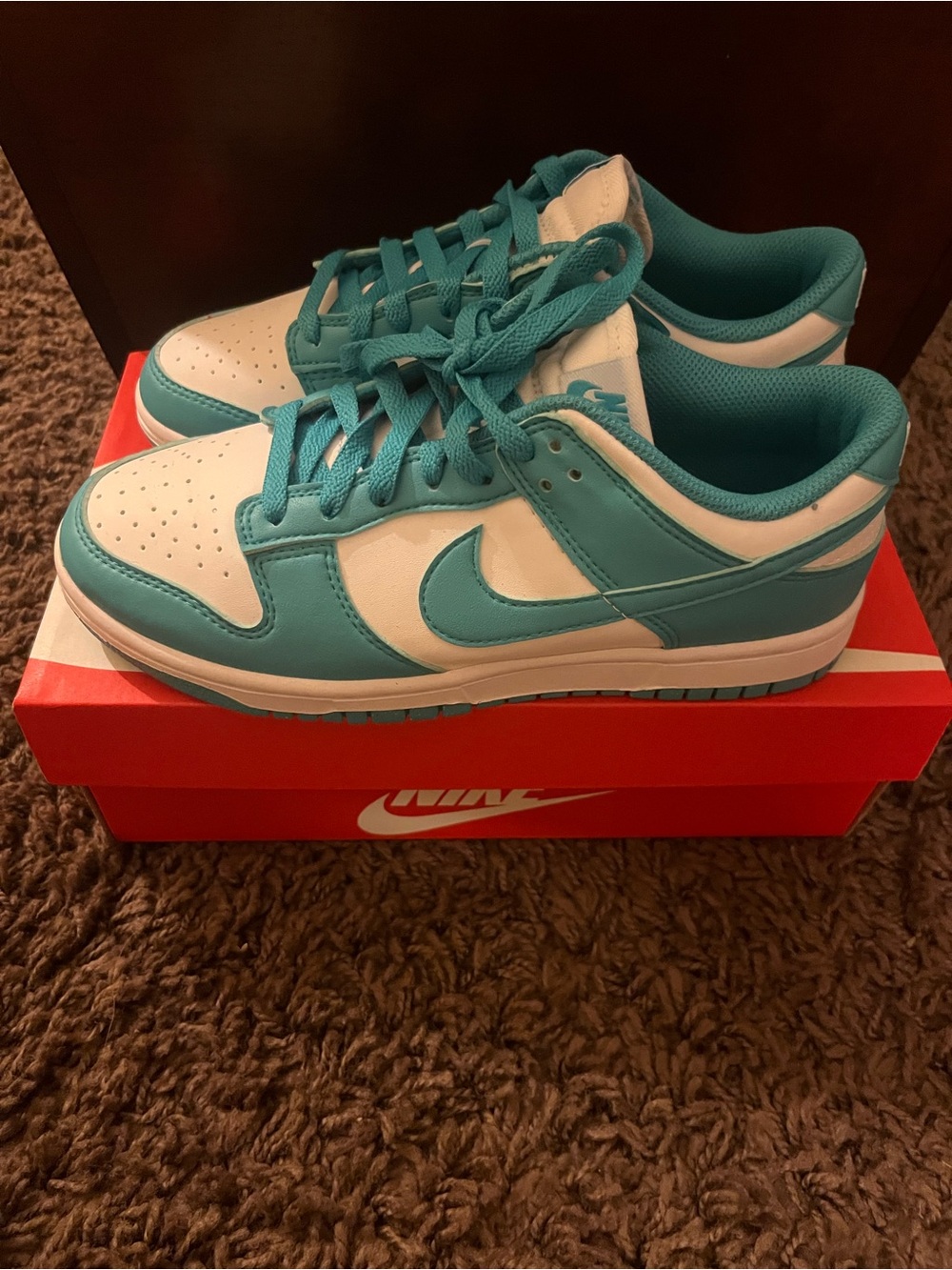 Nike Low-Top Athletic Sneakers - White and Teal